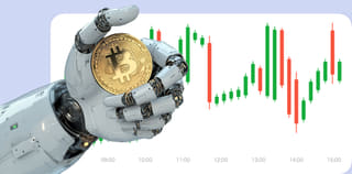 Dashboard view of the Rook Wertode crypto exchange platform